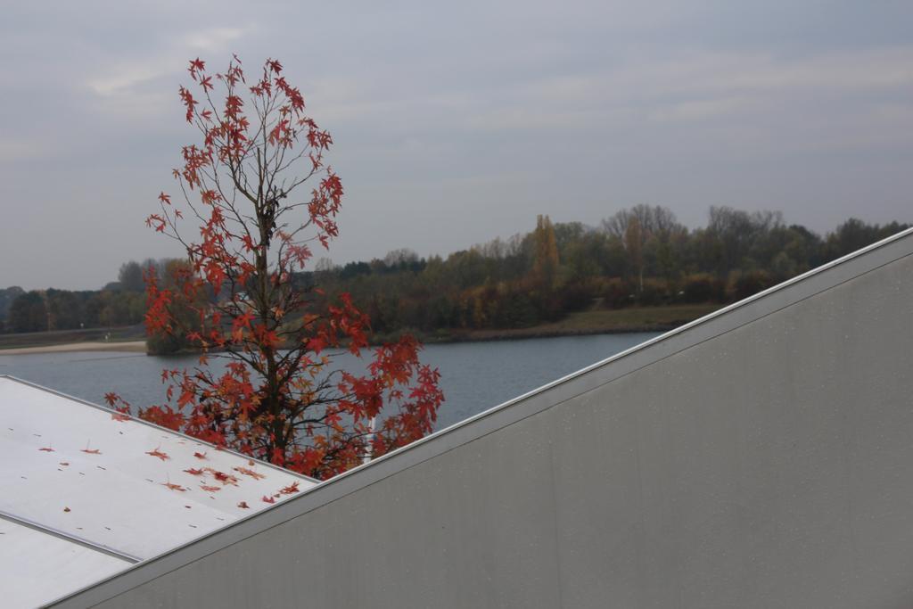 Sailcenter Limburg Hostel Kinrooi Luaran gambar